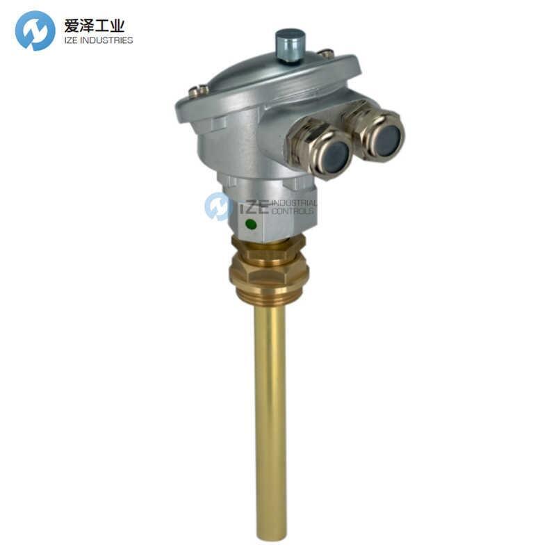 MESSKO变送器696-ZA1PZ