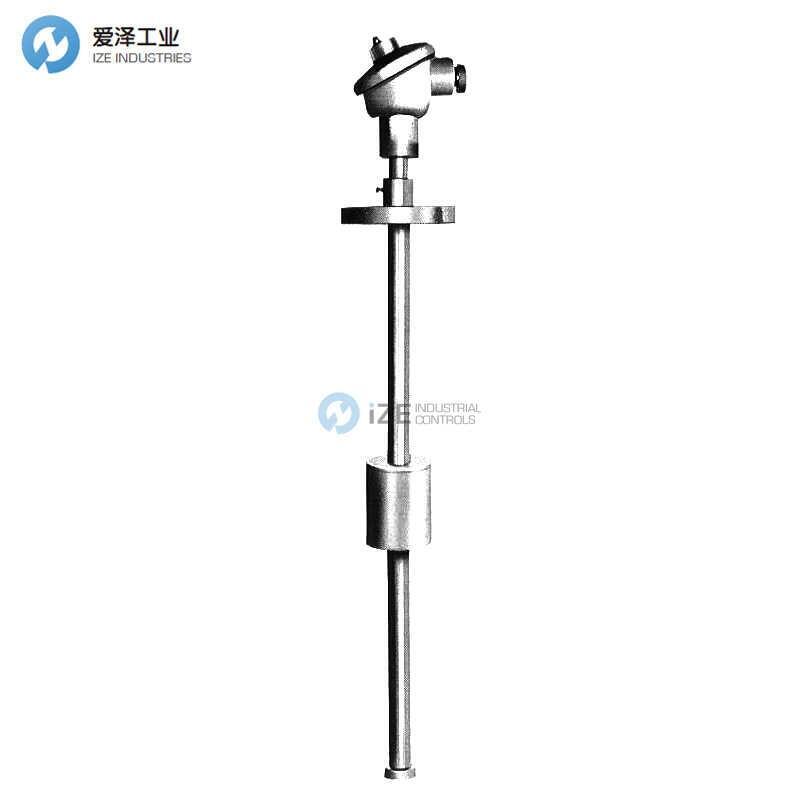 RYUKI流量计LV2005S