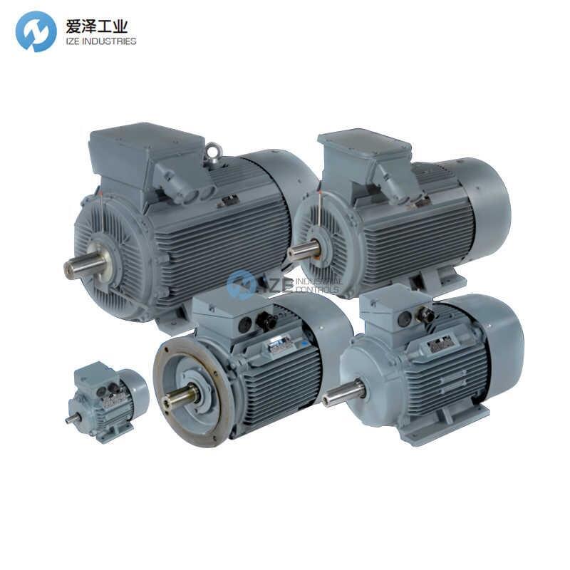 DUTCHI电机DM1 315 Lx 4