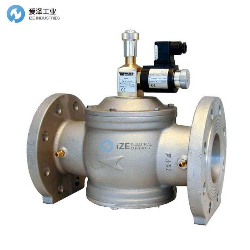 GIULIANI ANELLO燃气电磁阀EV100 010.0188.001