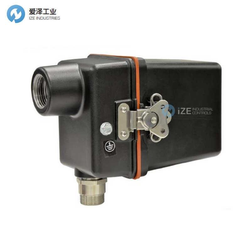 C·E·SRL火焰检测器65UV5-1004ECEX