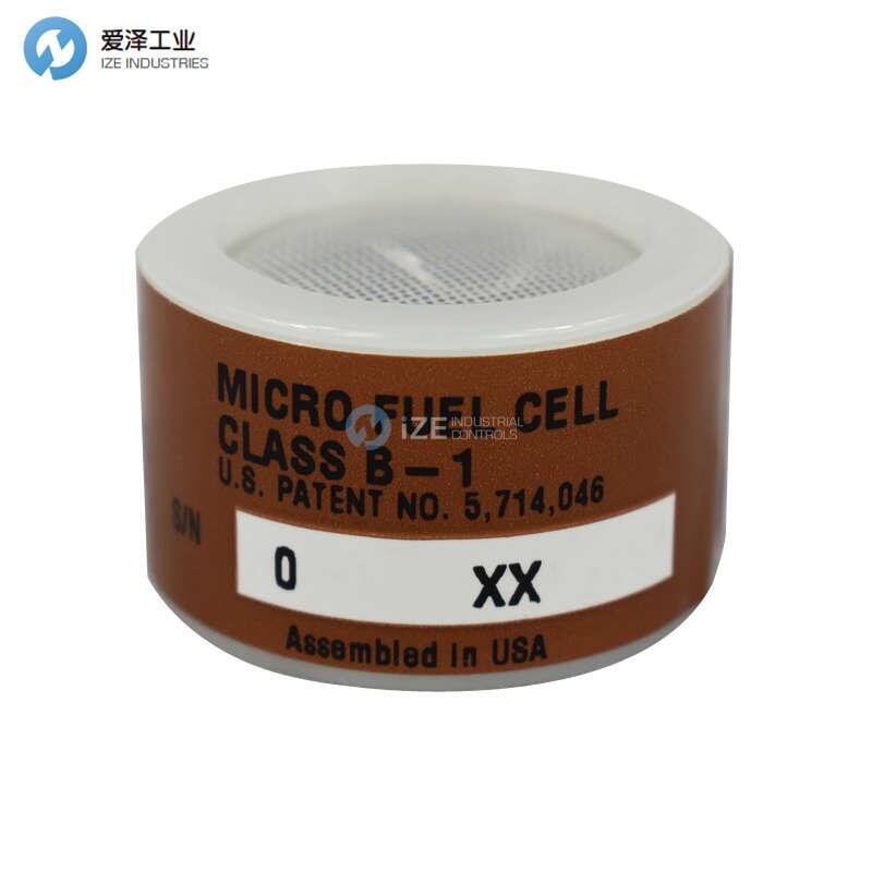 TELEDYNE氧传感器C06689-B1