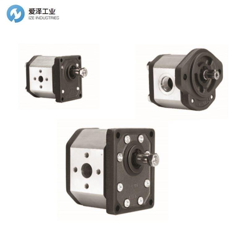 MARZOCCHI齿轮泵ALP3-D-60