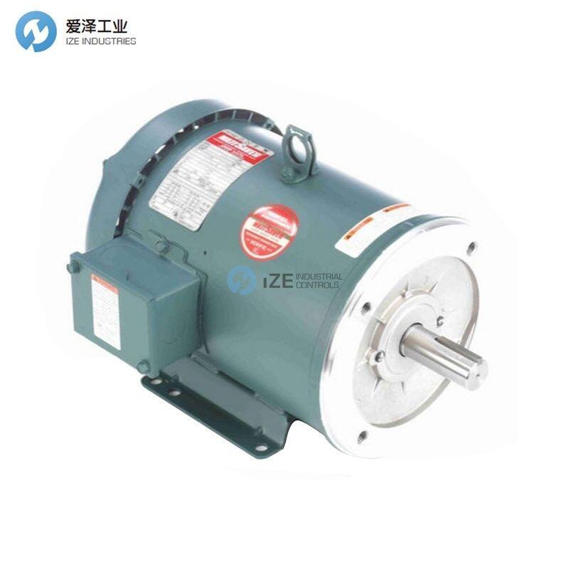 LEESON电机C182T17FK14 E