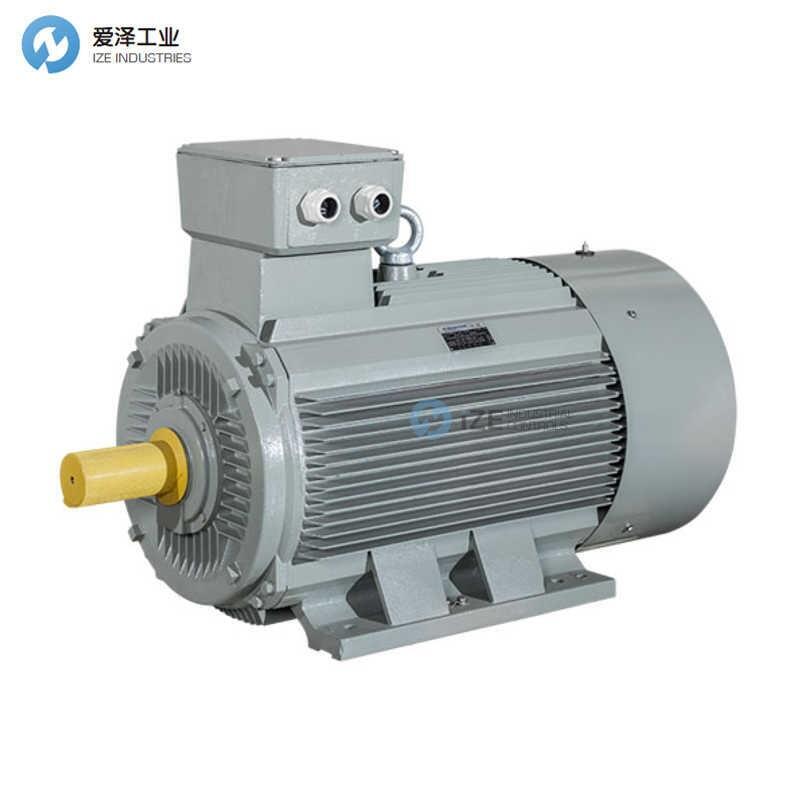 AC-MOTOREN电机FCM 225 S 4/PHE
