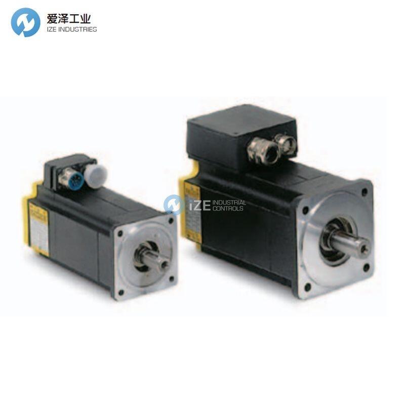 BALDOR电机BSM80C-250AA