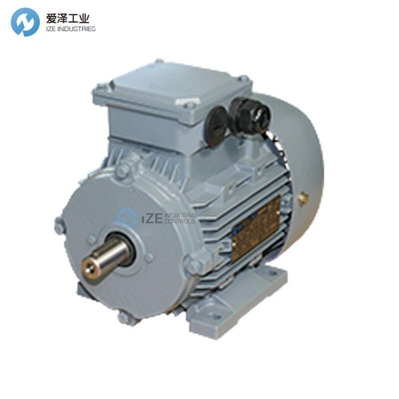 ELEKTROMOTORENWERK电机F63M-2