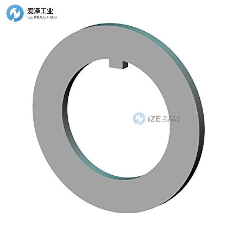 WHITTET-HIGGINS垫圈HTW-16
