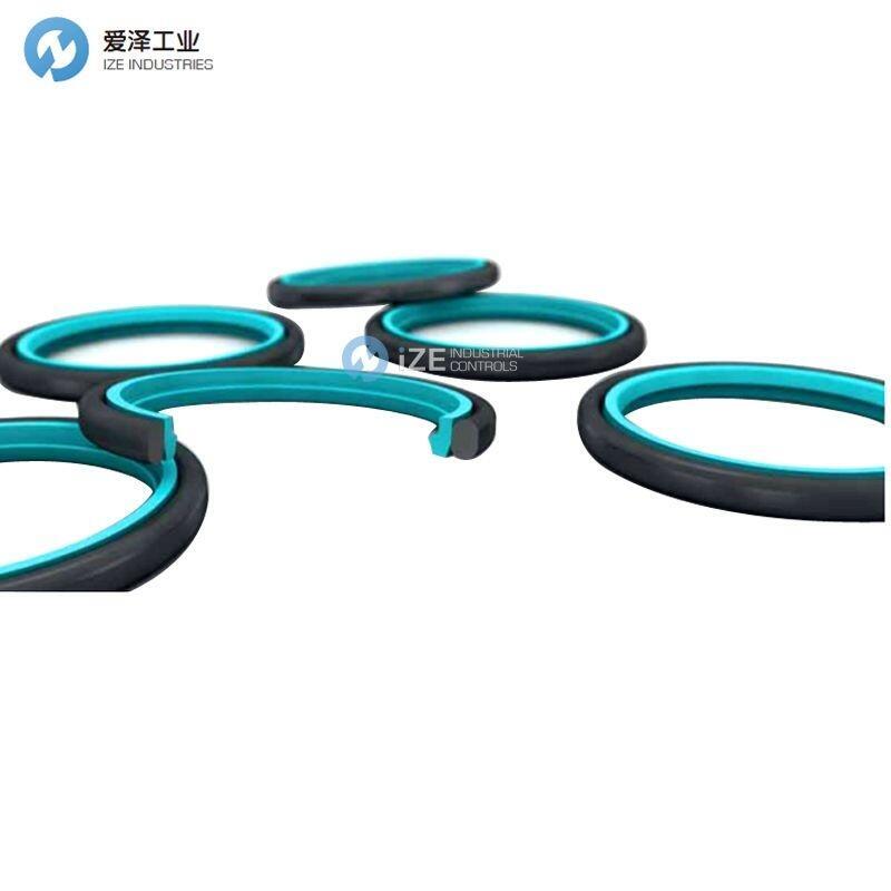 BUSAK+SHAMBAN(B+S)防尘封RSK301750-T46N