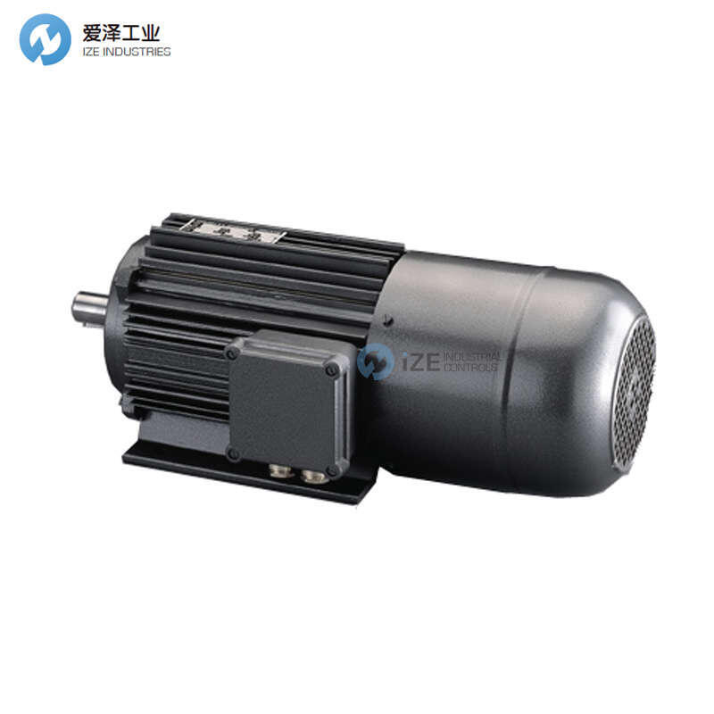 E. KRETZSCHMAR电机GDE 100/4 M