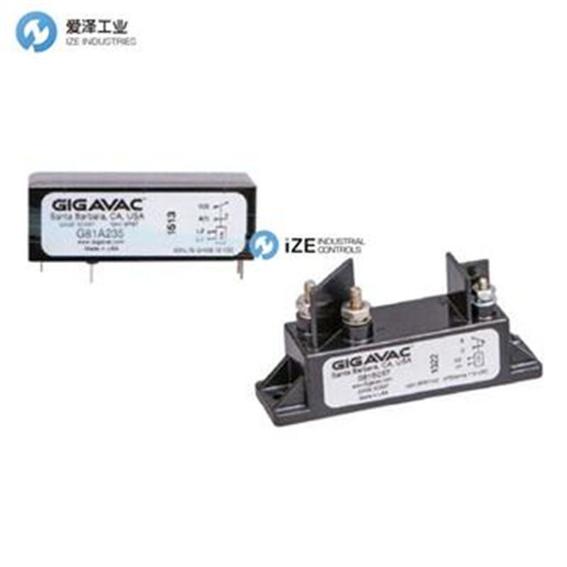 GIGAVAC继电器G81A019