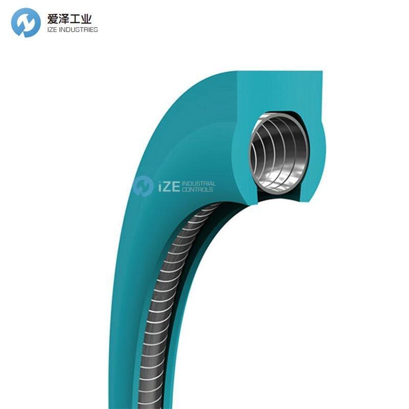 BUSAK+SHAMBAN静态密封DVE402160-T78S