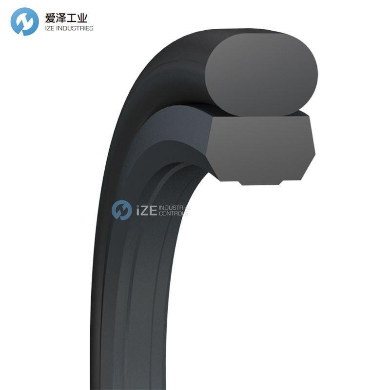 BUSAK+SHAMBAN(B+S)格莱圈TG5201250-Z80V