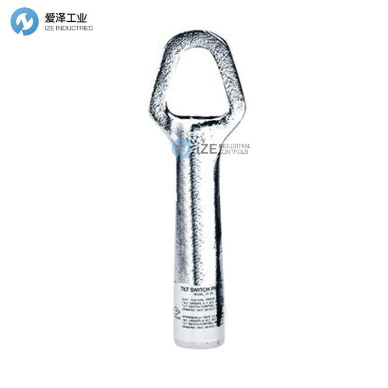 THERMO RAMSEY传感器20-39-8M