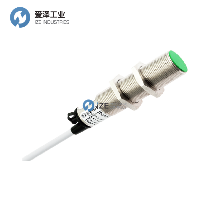 SELET传感器BCR1G3010PO