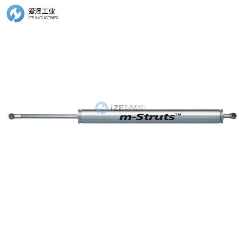 ASRAYMOND弹簧MSBD-076-0262