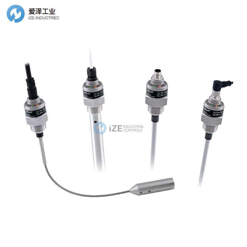 DINEL液位计DLM-35N-22-G1-I-C-E1500