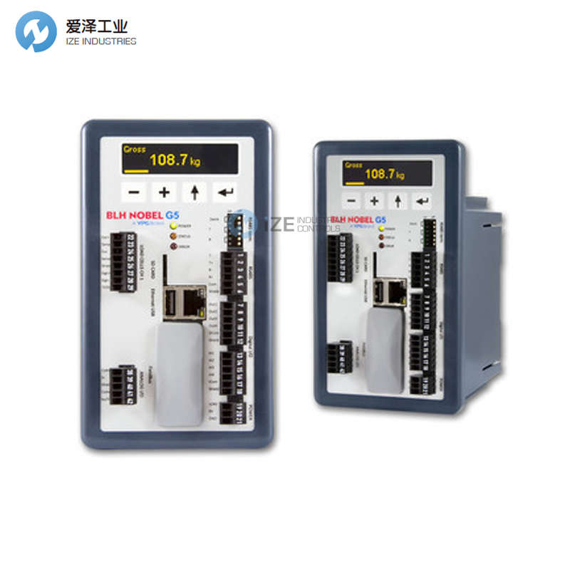 BLH过程称重仪表G5-RMD-S-DC-W