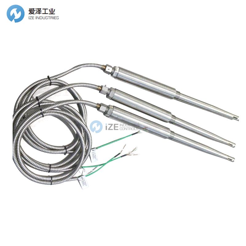 TERMICS热电偶00008610