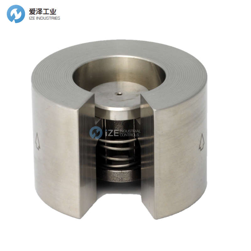 CHECK ALL止回阀WVHSSKZ.500SS