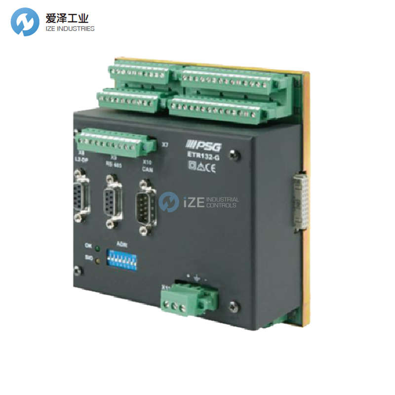 PSG温度控制器RR1010/8/K/HO/KO/TCPT/-/-/DP/24V